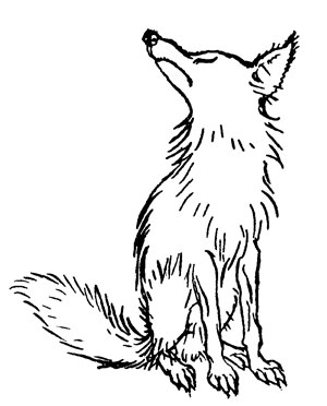 THE FOX AND THE GRAPES