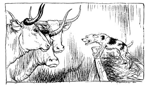 THE DOG IN THE MANGER