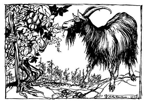THE GOAT AND THE VINE