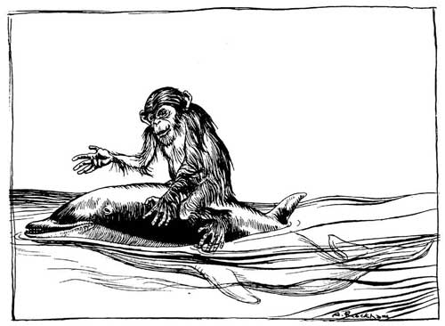 THE MONKEY AND THE DOLPHIN