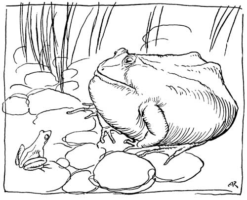 THE OX AND THE FROG
