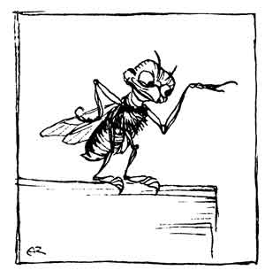 A fly perches on a ledge, one spindly leg raised.