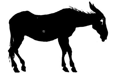 A donkey stands in silhouette with its head and ears drooping.