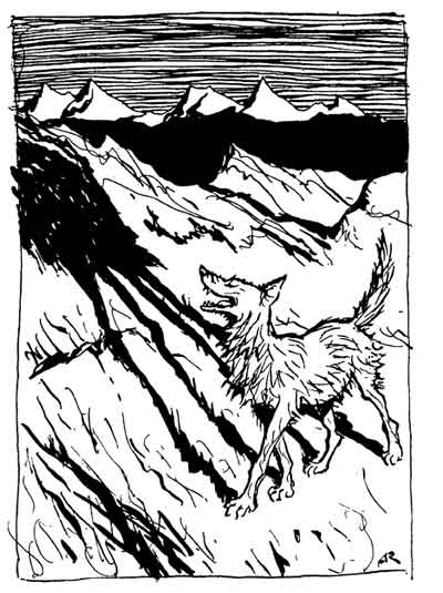 THE WOLF AND HIS SHADOW