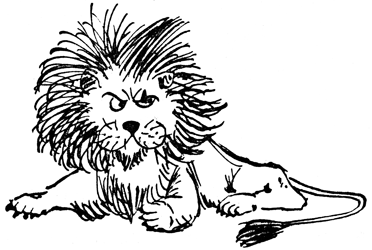 A large lion crouches with its mane bristling, looking annoyed and alert.