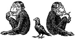 Two seated monkeys flank a crow, all three looking out at the reader.