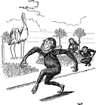 The ape capers about trailing a tape measure while two cranes look on.