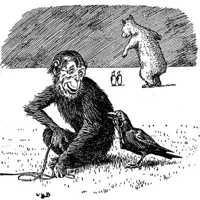 The ape sits with his tape measure as Johnny Crow watches and the bear stands behind.