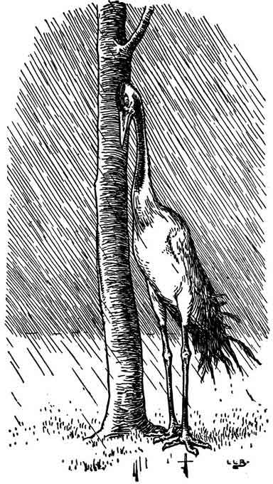 The Crane stands sheltering beside a tree trunk as rain pours down.