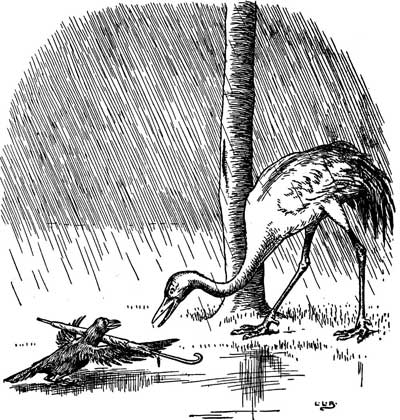 The Crane looks down at a small black bird and a cane lying in a puddle.