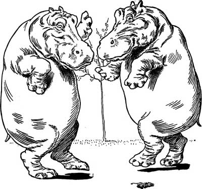 Two hippos stand nose to nose, sniffing a small plant between them.