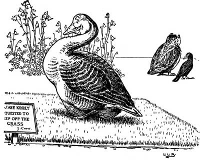 The Goose stands on a grassy mound as two small birds watch from across the water.