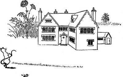 A small mouse sits in the grass beside the little house he built.
