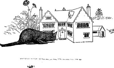 A black cat crouches in the grass watching a small house as a mouse waits nearby.
