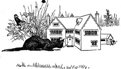 A cat crouches by a garden house as a bird perches in the tall reeds nearby.
