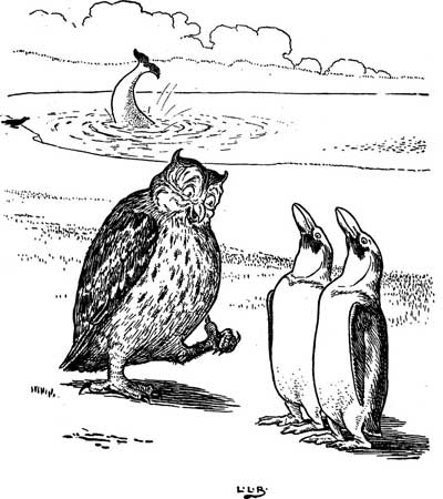 An owl faces two long-necked seabirds on the shore as something splashes in the sea.