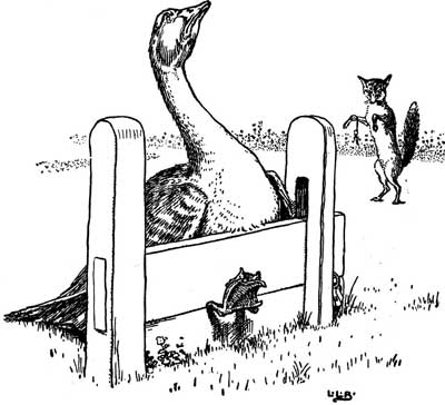 A goose stretches its neck over a wooden stile as a fox stands watch behind it.