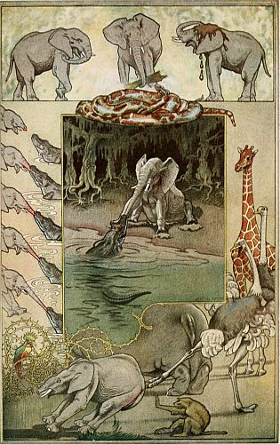 The Elephant
