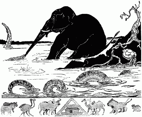 This is the Elephant