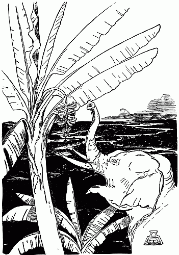 This is just a picture of the Elephant