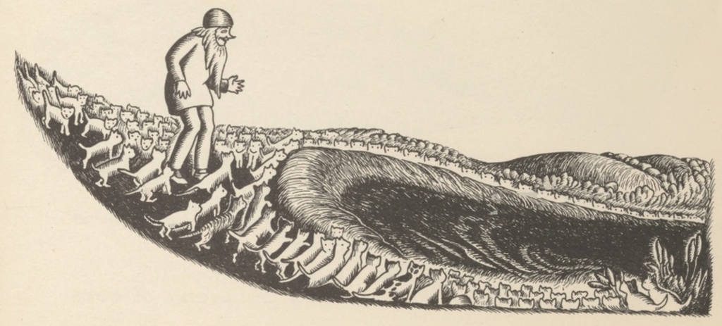 The old man walks a winding hilltop path with a line of cats trailing him.
