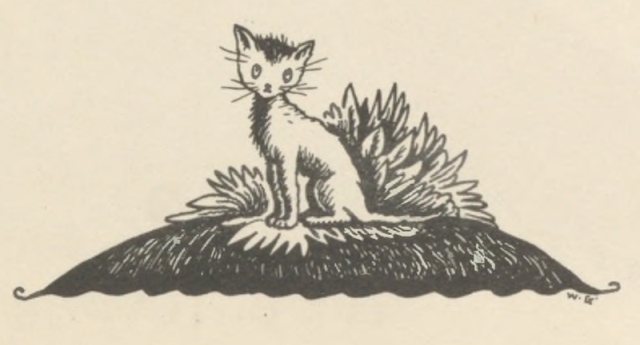 A small kitten sits alone on a grassy mound in front of a leafy bush.