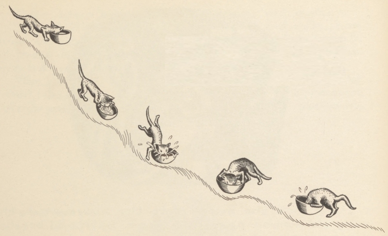 Five kittens tumble down a hillside path, each diving into its own bowl of milk.
