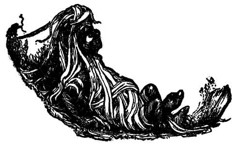 Yallery Brown, a tangle of hair and weeds, lies coiled on the ground.