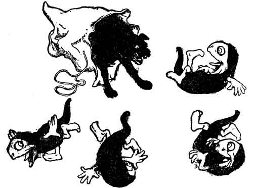 A shaggy dog attacks the hobyahs as they tumble in every direction from the sack.
