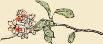 Illustration from Mother Goose / Nursery Rhymes (traditional)