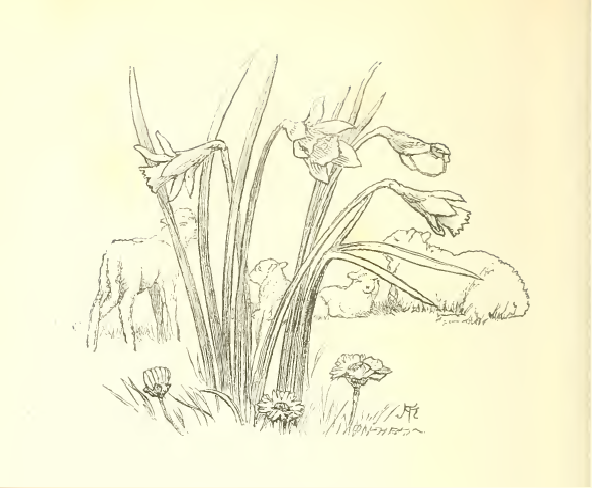 Growing in the vale