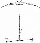 A bird stretched along the top and a small duck below form a decorative letter T.