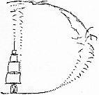A small ship sits inside a spiral of dots forming a decorative letter D.