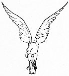 An eagle dives downward with its wings spread wide.