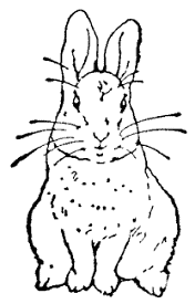 A rabbit sits upright facing forward in a simple black and white sketch.