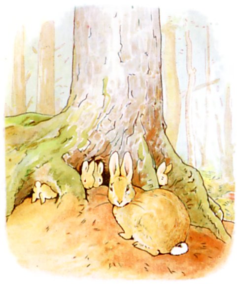 Four young rabbits gather at burrow entrances beneath the roots of a big fir tree.