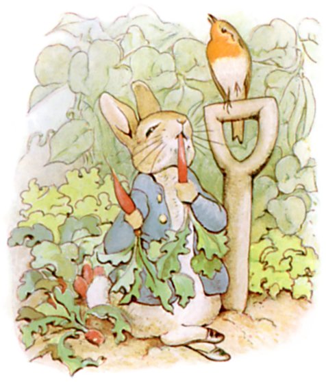 Peter nibbles a radish and lettuce leaves while a robin perches on a spade handle.