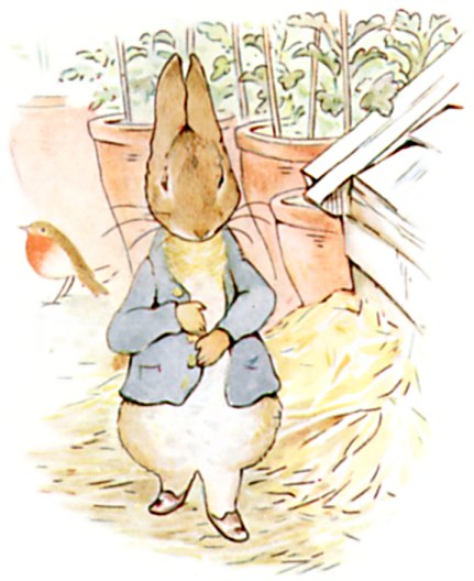 Peter stands among flowerpots and loose straw near a garden shed, a robin close by.