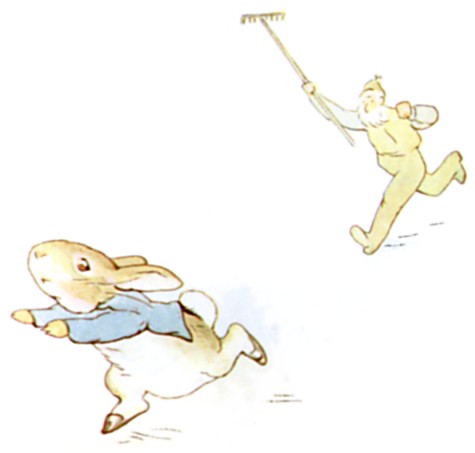 Mr. McGregor chases after Peter, waving a rake above his head.