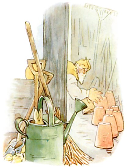 Mr McGregor searches under flower pots in the shed while Peter hides in a watering can.