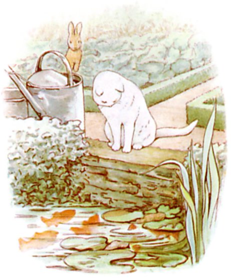 A white cat sits watching goldfish in a pond while Peter looks on from a distance.