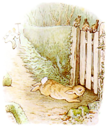 Peter races down the path toward the gate as Mr McGregor gives chase with a rake.