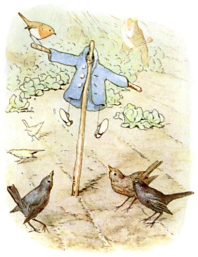 Peter's blue jacket and shoes hang on a scarecrow as blackbirds gather around it.