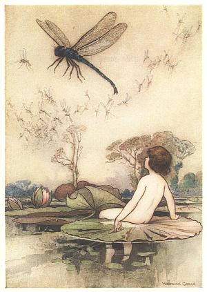 Tom sits on a lily pad, watching a large dragonfly hover above the water.