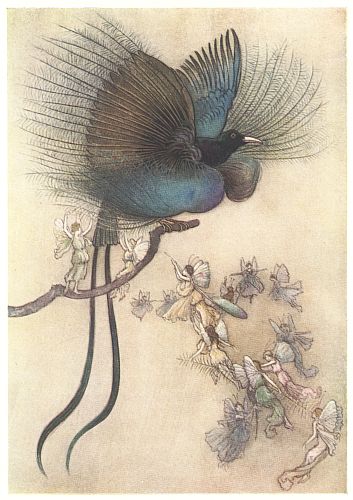 A large iridescent bird perches on a branch surrounded by tiny winged fairies.